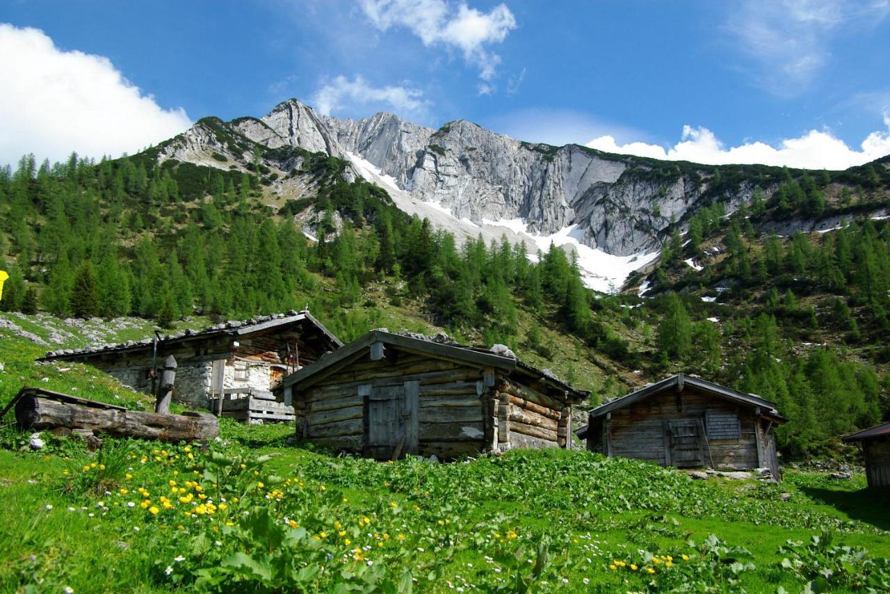 Haus Bauer Daire Pertisau Dış mekan fotoğraf
